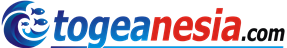 Togeanesia.com