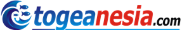 Togeanesia.com