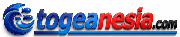 Togeanesia.com